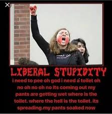 Trolling Libtard Epic Style R Comedycemetery