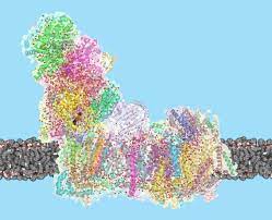 A second group of carcinomas consists of those with microsatellite instability. Ist Austria Ratsel Um Riesige Protonenpumpe Gelost