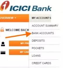 Signup quickly & send money to india from uk, australia, usa, canada, uae, singapore, etc online with icici bank money2india. How To Download Icici Bank Account Statement Online In Pdf Format