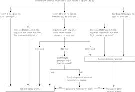 iron deficiency anemia evaluation and management american