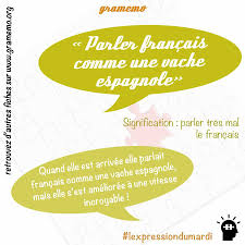 Parler Francais Comme Une Vache Espagnole Lexpressiondumardi French Expressions Parler Francais Expressions Francaises
