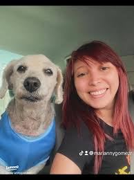 55 top Ponto De Partida ideas in 2025