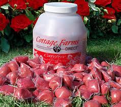 Check spelling or type a new query. Cottage Farms Bud N Flower Rose Booster Fertilizer Packs Qvc Com