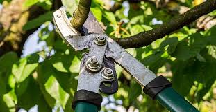 Was das bundesnaturschutzgesetz sagt in § 39. Gesetzliche Bestimmungen Bei Der Gartenarbeit Und Gartenpflege