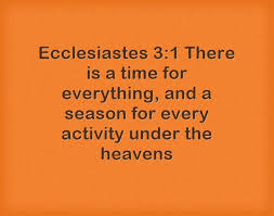 Because i know we live in a very independent country i know you might be thinking, but pastor matt, i just went to the store. Top 7 Bible Verses About God S Timing Jada Pryor