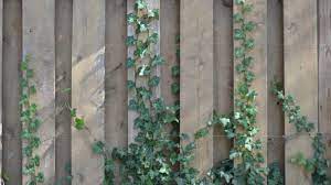Mit unterbau ist sie in der neigung verstellbar, ohne unterbau ist sie leicht durch den garten zu transportieren. Larmschutzwand Selber Bauen Anleitung Gartenrevue De