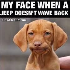My Face When A Jeep Doesn T Wave Back It S A Rule Guys But It S Alright If You Occasionally Forget To Wave Jeep M Funny Animals Bones Funny Funny Pictures
