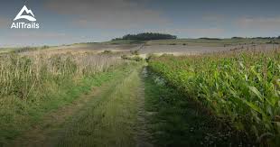 10 Best hikes and trails in Cranborne Chase and West Wiltshire Downs  National Landscape (AONB)