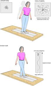 Tandem gait is a gait where the toes of the back foot touch the heel of the front foot at each step. Preliminary Evaluation Of Prototype Footwear And Insoles To Optimise Balance And Gait In Older People Bmc Geriatrics Full Text