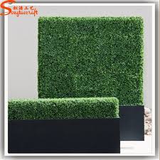 Most are slow growing, perfom best in full sun but will tolerate some. High Quality Plastic Grass Hedges Levitating Plants Type Artificial Boxwood Hedge For Tower Garden Decoration Buy Plastic Hedge Fence Artificial Boxwood Hedge Plant Tower Garden Product On Alibaba Com