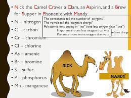 Finding the formula of an ionic compound. Nick The Camel Mnemonic Nick The Camel Craves A Clam An Aspirin And A Brew For Supper In Phonenix With Mandy N Nitrogen C Carbon Cr Chromium Ppt Download
