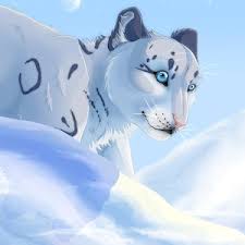 Snow Leopard Anime Wallpapers Apprecs 1680 x 1050 file name: snow leopard anime wallpapers apprecs