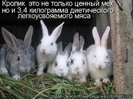 Яценюк: Стратегическая цель Путина - СССР версии 2.0. Ноль он и получит - Цензор.НЕТ 9689
