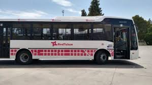 Así se verán los colectivos que integran la Red Tulum