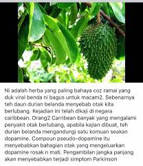 Daun sirsak memiliki manfaat besar bagi kesehatan. 180 Gardening Ideas Plants Garden Projects Garden Design