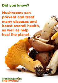 Overview of health benefits of medicinal mushrooms. The Top Health Benefits Of Mushrooms Food Revolution Network
