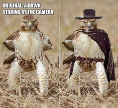 20 Winners Of The Greatest Photoshop Battles Ever Funny Photoshop Photoshopped Animals Photoshop Battle