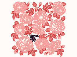 Find over 100+ of the best free flower pattern images. Roses Illustration Floral Illustrations Flower Drawing