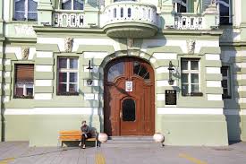 Biografska knjiga govori o uspomenama i odrastanju, a autorka ju je posvetila majci. Olivera Balasevic Zvanicna Internet Stranica