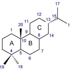 Image result for Equilabium petiolare