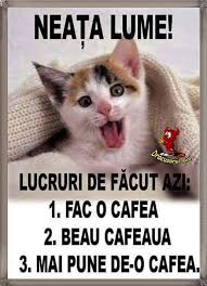 Faceti ordine in pozele din telefon, seara. InvitaÈ›ii Haioase La Cafea Morning Greetings Quotes Morning Greeting Good Morning