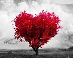 Resultado de imagen para corazÃ³n asfixiante