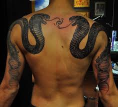 King cobra tattoos on shoulder @mammothamerican. 22 Best Snake Tattoo Designs For Back Petpress
