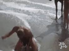 The statue of liberty is a colossal metal sculpture located on liberty island in the middle of the harbour of new york city. Planet Of The Apes Meme Gifs Tenor