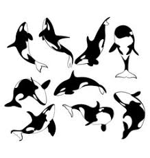 The whale is a popular symbol for romance as they mate for life. Orca Tattoo Vector Images Over 100