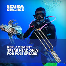 Scuba Choice Spearfishing Lionfish 6" Pole Spear Tip 3 Prong Head Paralyzer  with Barbs : Amazon.co.uk: Garden