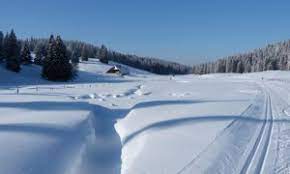 Nichée à 930 m d'altitude dans le jura, cette commune du doubs détient la température minimale record pour la france métropolitaine : Decouvrez Le Village Le Plus Froid De France Mouthe M6 Meteo Paysage France Village Le Village