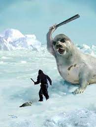 Peta On Twitter A Mother Seal Protects Baby From Getting Killed 4 Fur Amp Other Top Peta Facebook Posts Of 2013 Http T Co Mwfcre0ajb Http T Co Y4klnnzxxd Twitter