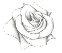 Maybe you would like to learn more about one of these? Rose Flower Drawing In Pencil Step By Step Novocom Top