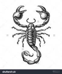 18 おしゃれまとめの人気アイデア pinterest mateo 2020 サソリ イラスト タトゥー