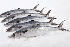 Spanish Mackerel Whole Fish Citarella