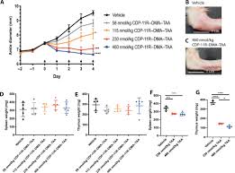 Cortisone is a corticosteroid, and this class of drug is used to treat inflammation in the body. A Potent Peptide Steroid Conjugate Accumulates In Cartilage And Reverses Arthritis Without Evidence Of Systemic Corticosteroid Exposure Science Translational Medicine
