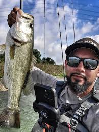 Gnat putting the smack down