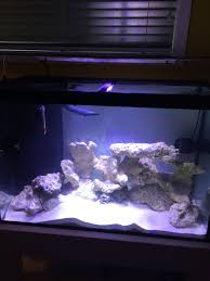 Aquascape Saltwater Aquarium Aquascaping White Sand Saltwater Tank Aquarium Aquascape