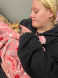 We lost our dog yesterday 🕊️ she was a huge part of our family, why can't  animals live forever??