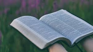 1 peter 4:17 says, for the time is come that judgment must begin at the house of god.. 16 Bible Verses About Judgement Day