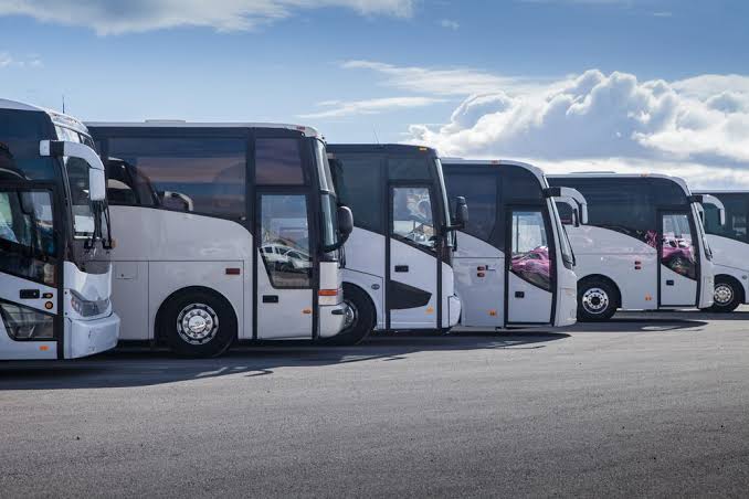 Buses for people transport companies
