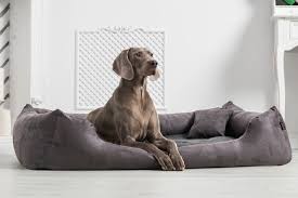 Alle aus ganz natürliche materialien und in europa produziert. Hundebetten Tierlando