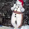 Le bonhomme de neige book. Https Encrypted Tbn0 Gstatic Com Images Q Tbn And9gcqjlslncmdyusnuebkp Izvfdqudq58wmer Hwx6hvxbohf4 M1 Usqp Cau