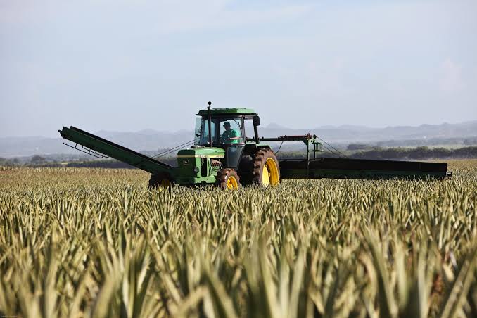 Modern Agriculture | PERC