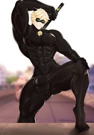 Chat Noir - Image 1735823 - ThisVid tube