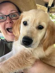 Free food giveaway event today