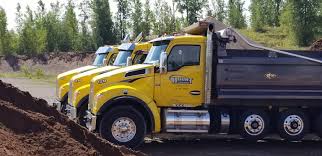 Image result for Construction Yellow 2019 Fleet