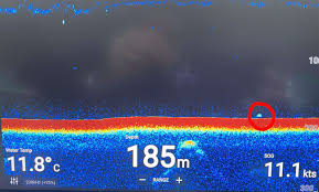 There's bigfoot, chupacabras, thunderbirds, the kraken, and countless others in local folklore. Loch Ness Monster Experts Left Stunned After Another Sonar Sighting