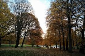 The interactive map above will help you find free, cheap and more advantageous parkings in brussels. Bois De La Cambre Brussels Preferred Spot For A Sunny Day