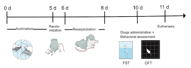 Acute effect of pregabalin